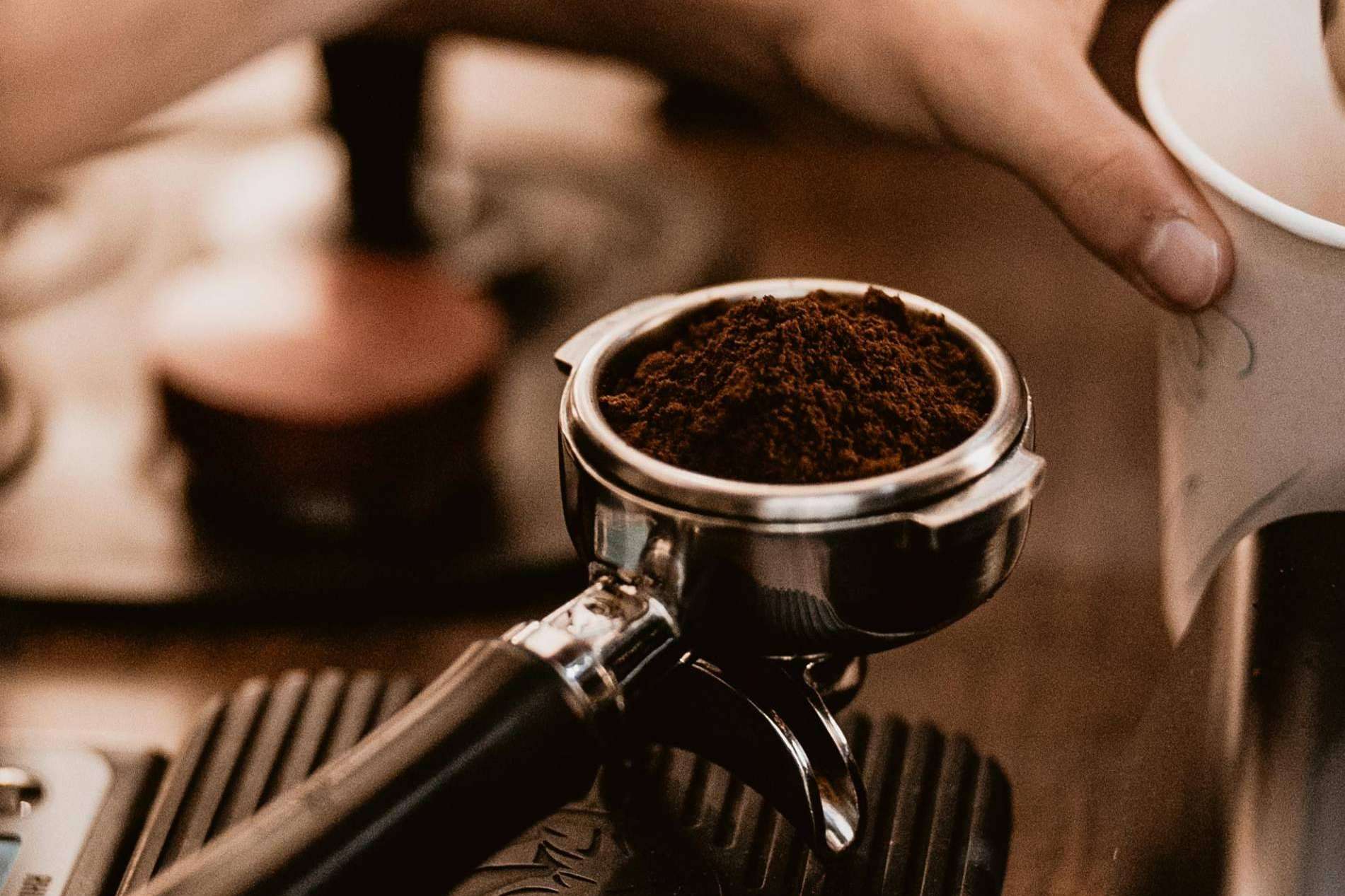 Disfrutar de las ventajas exclusivas del café molido Caffè Bocca della Verità