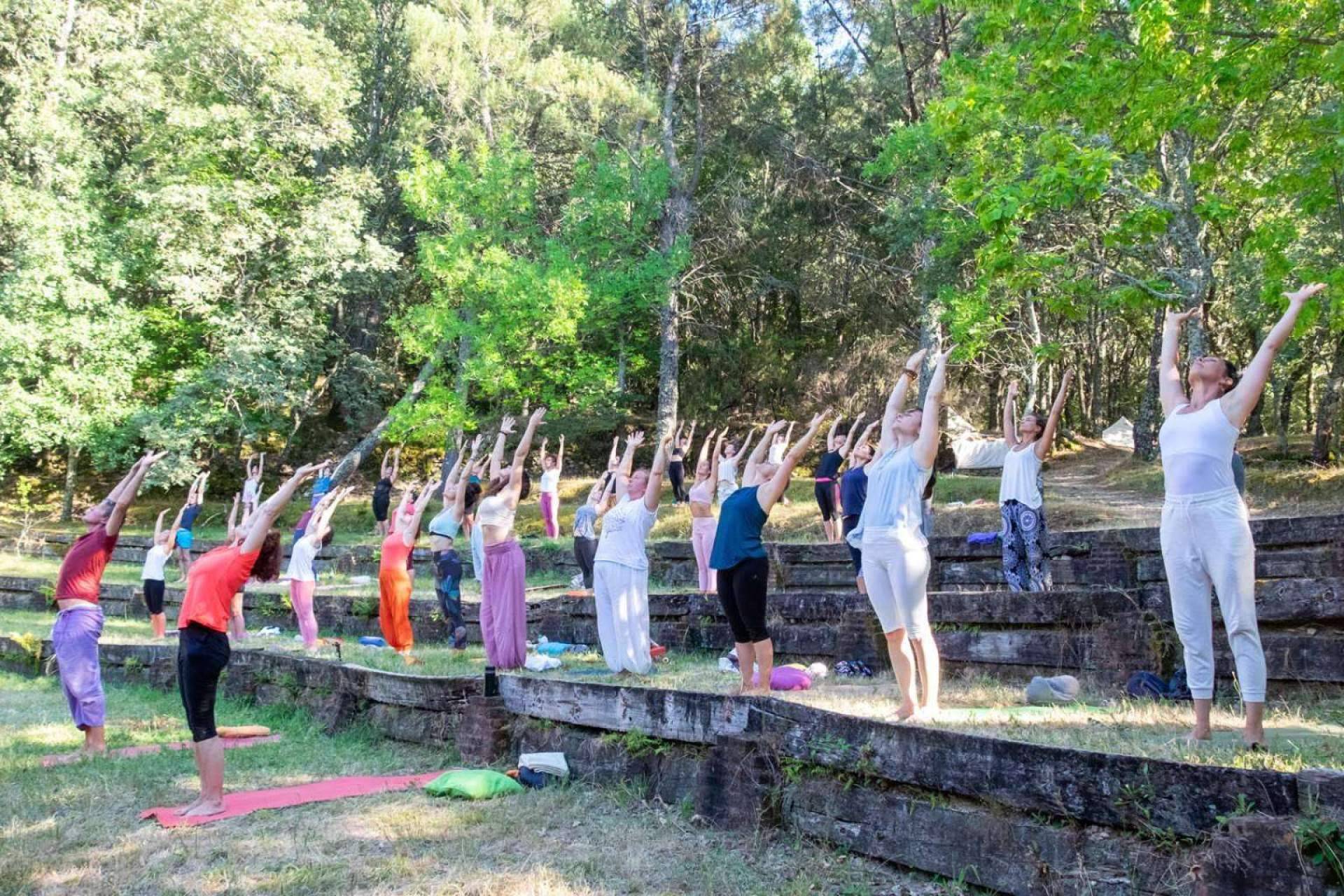 ¿Por qué convertirse en profesor de yoga? Om Shanti