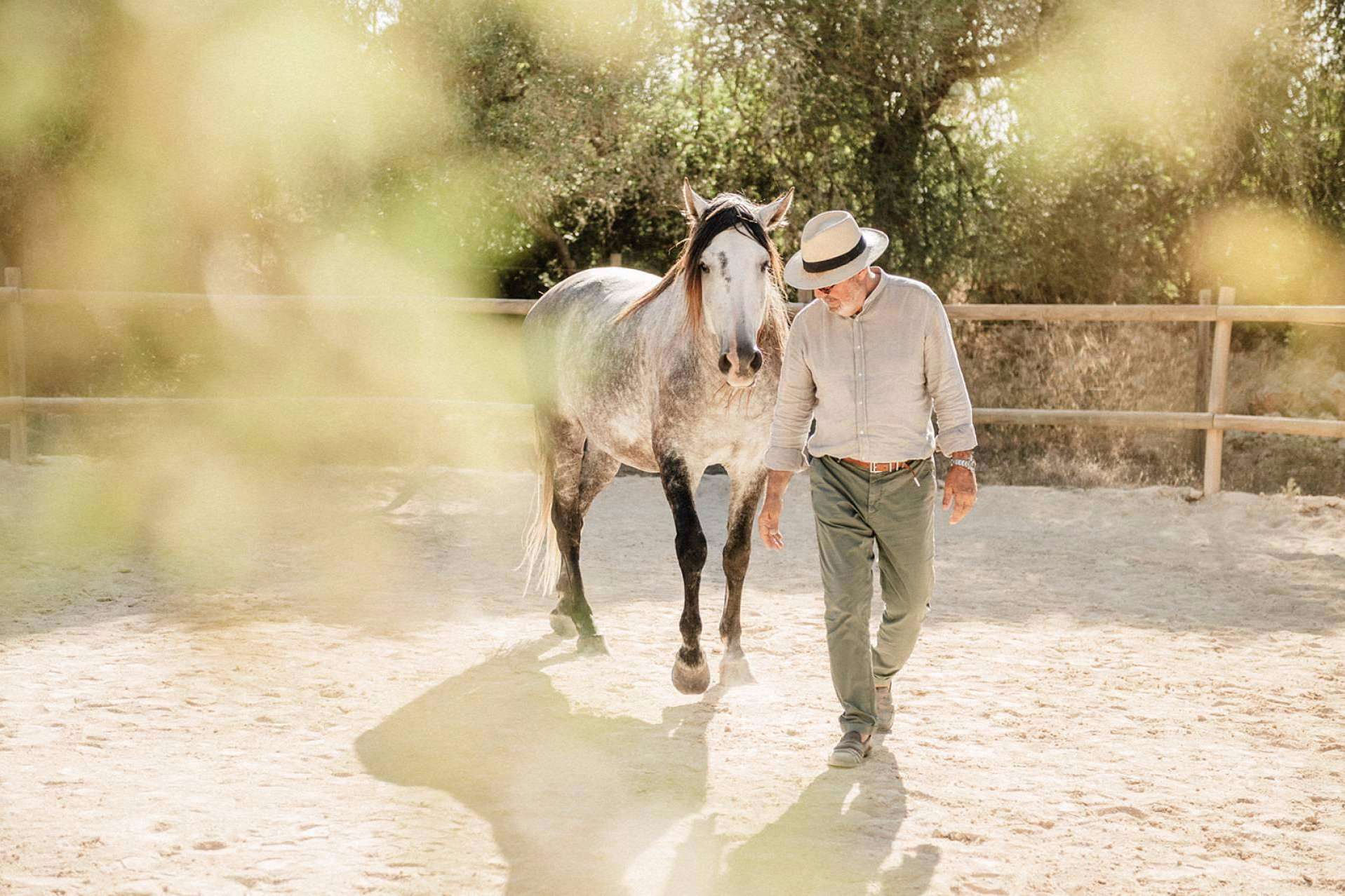 Son Cavalls ayuda a recuperar la autenticidad por medio del coaching individual asistido por caballos
