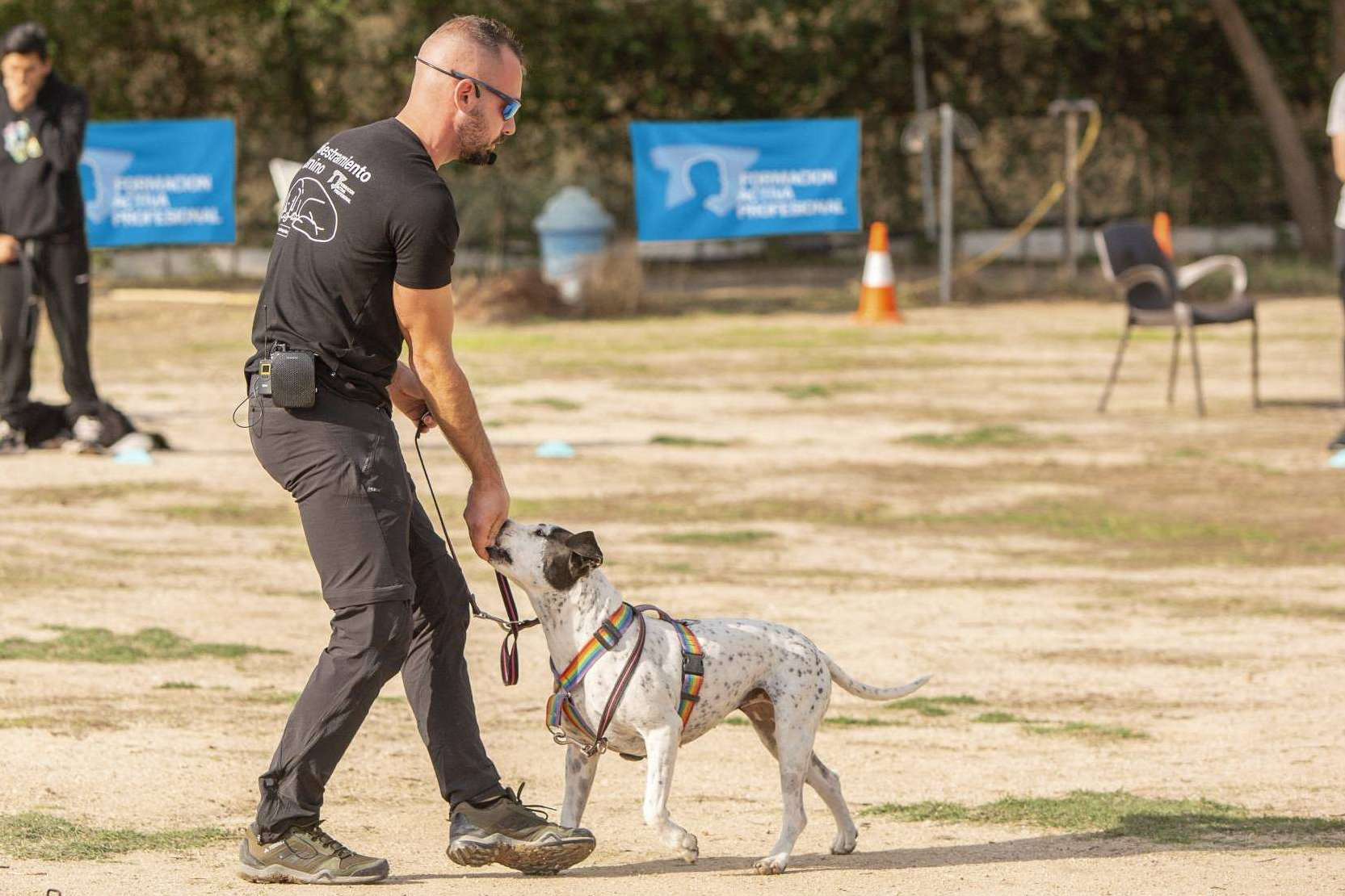 ¿Por qué cada vez más personas buscan convertirse en expertos caninos?