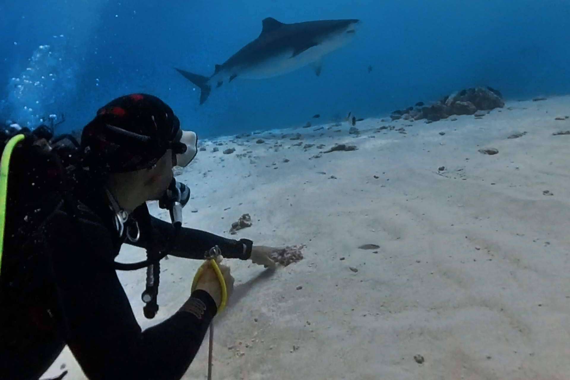 Drop Dive Maldives abre un nuevo centro de buceo en Fuvahmulah