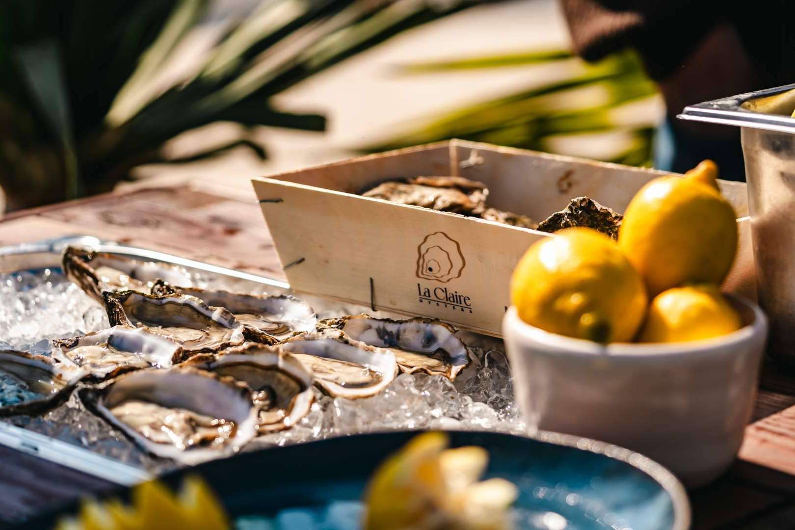 ¡Ostras! La Claire Oysters conquista toda la península española con su exquisita variedad marítima