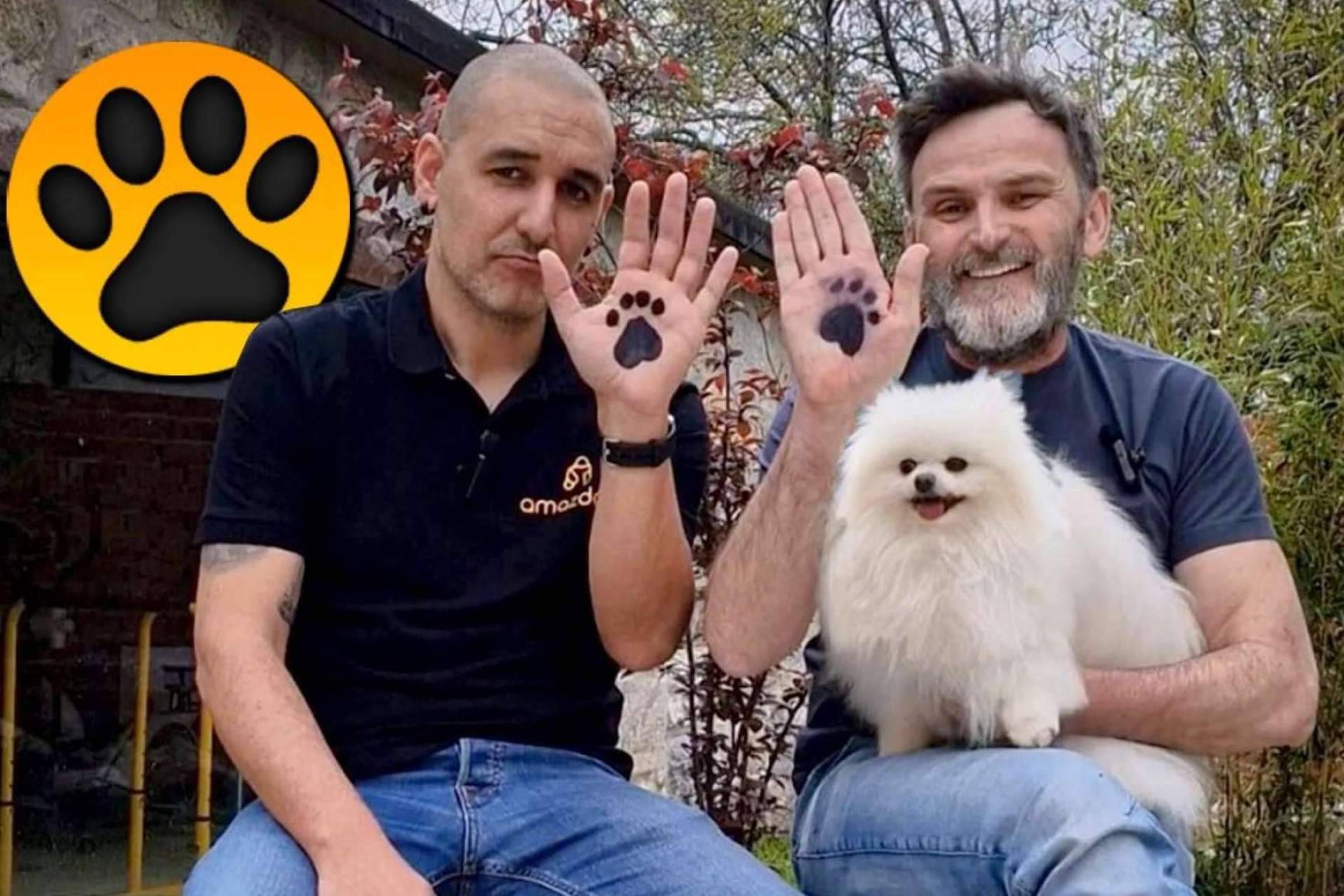 ¿En qué consiste el Reto Dogchallenge de Amazdog?