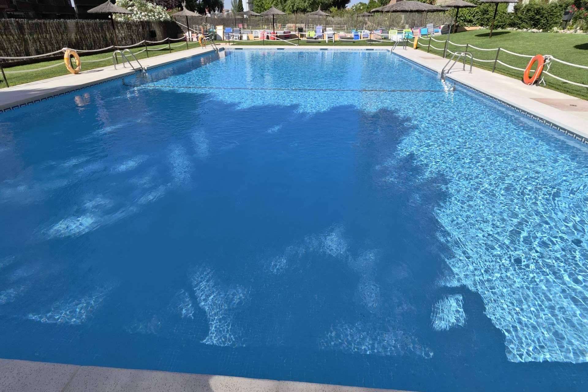 La propuesta de PoolTiger para mantener una piscina sin productos químicos
