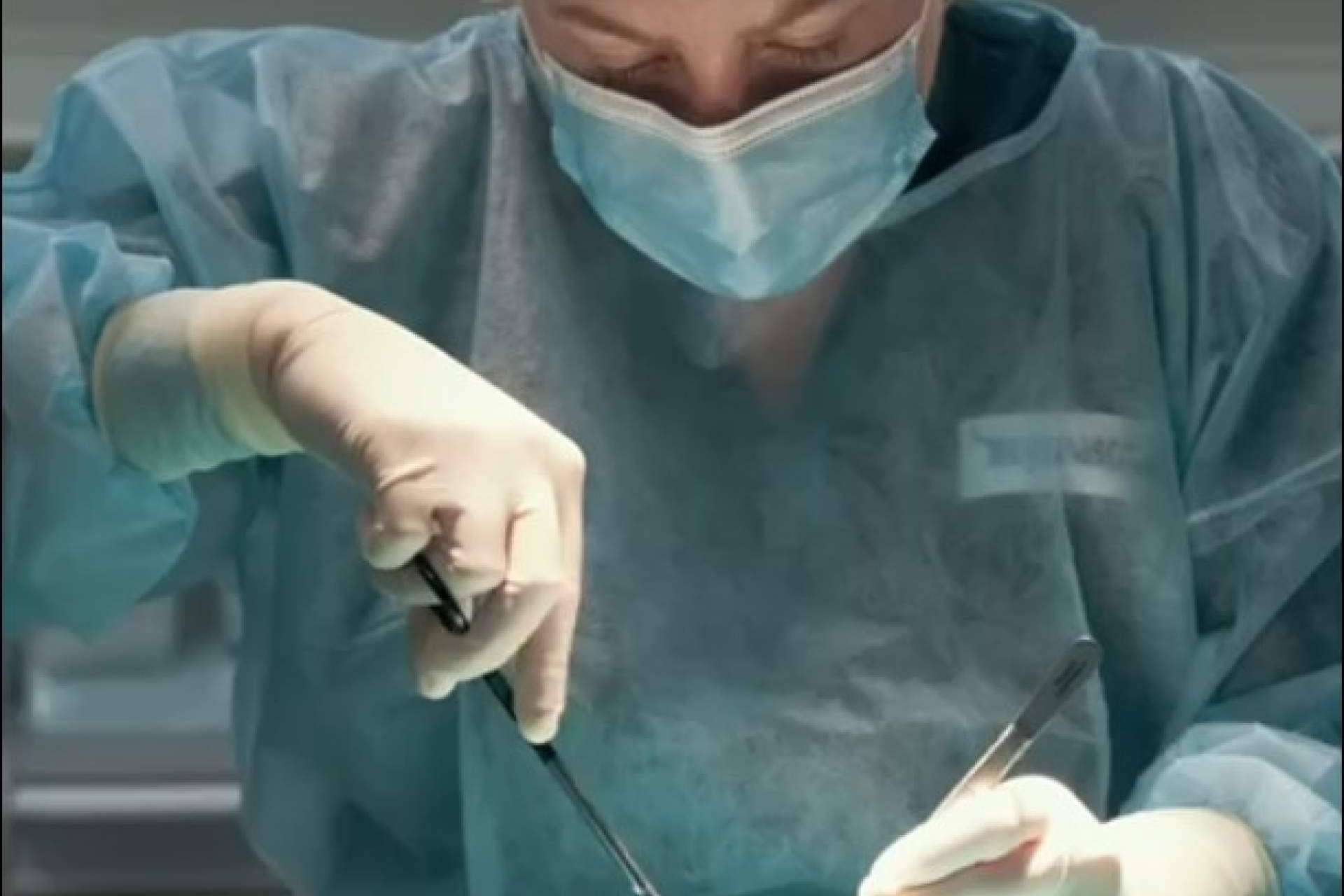 Megamascotas, urgencias 24h para las mascotas en la Región de Murcia