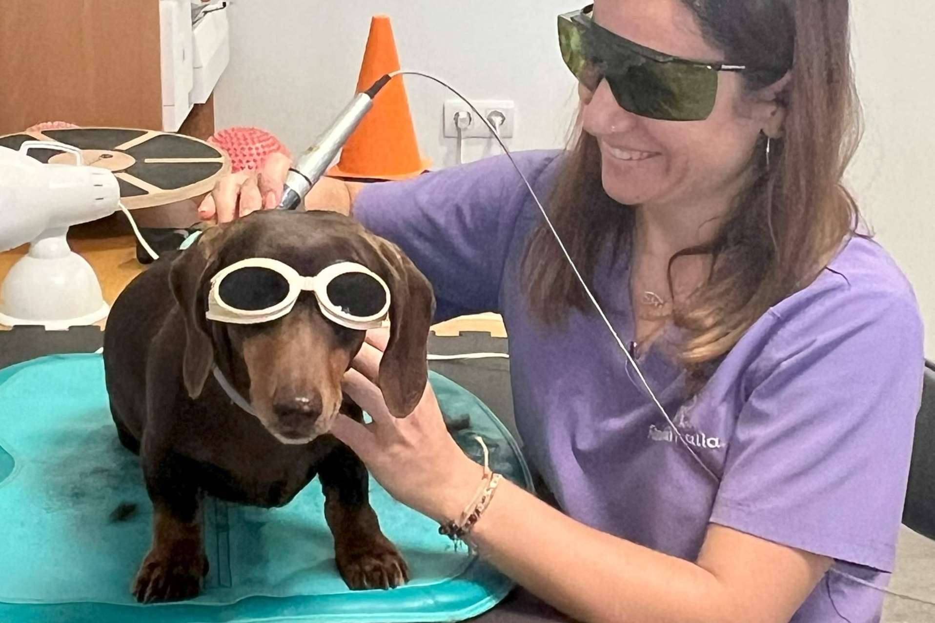 Terapia láser en veterinaria para el tratamiento de dolor, heridas, infecciones... ¡y mucho más!