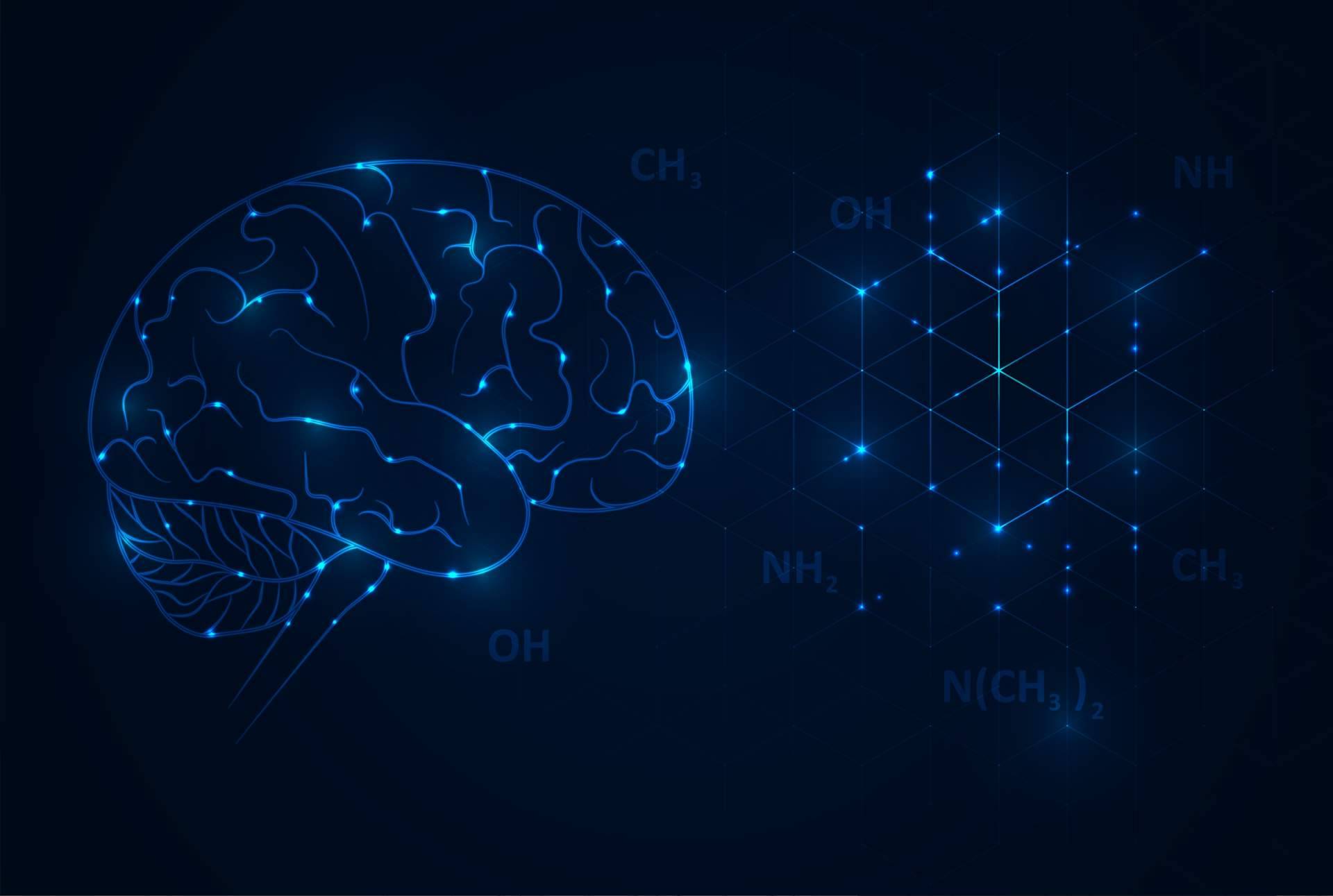 Bit2Brain ofrece formación en inteligencia artificial