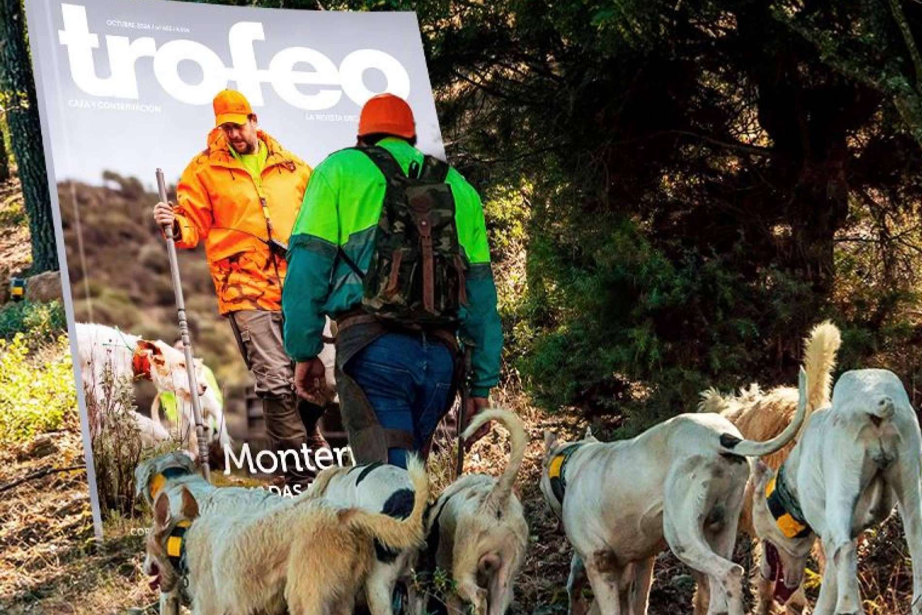 Descubrir cómo cuidar los perros de caza para la nueva temporada, en la web de Trofeo Caza