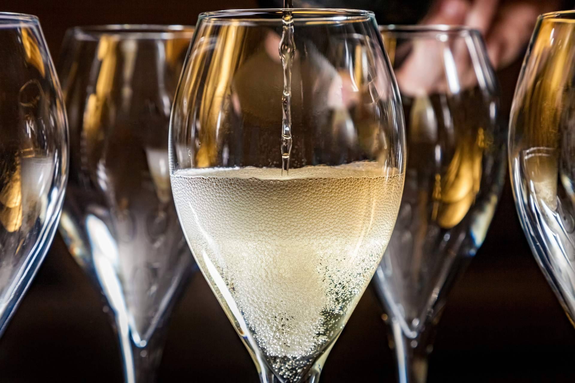 Naturelovers Wines impulsa la sostenibilidad con vinos ecológicos de alta calidad