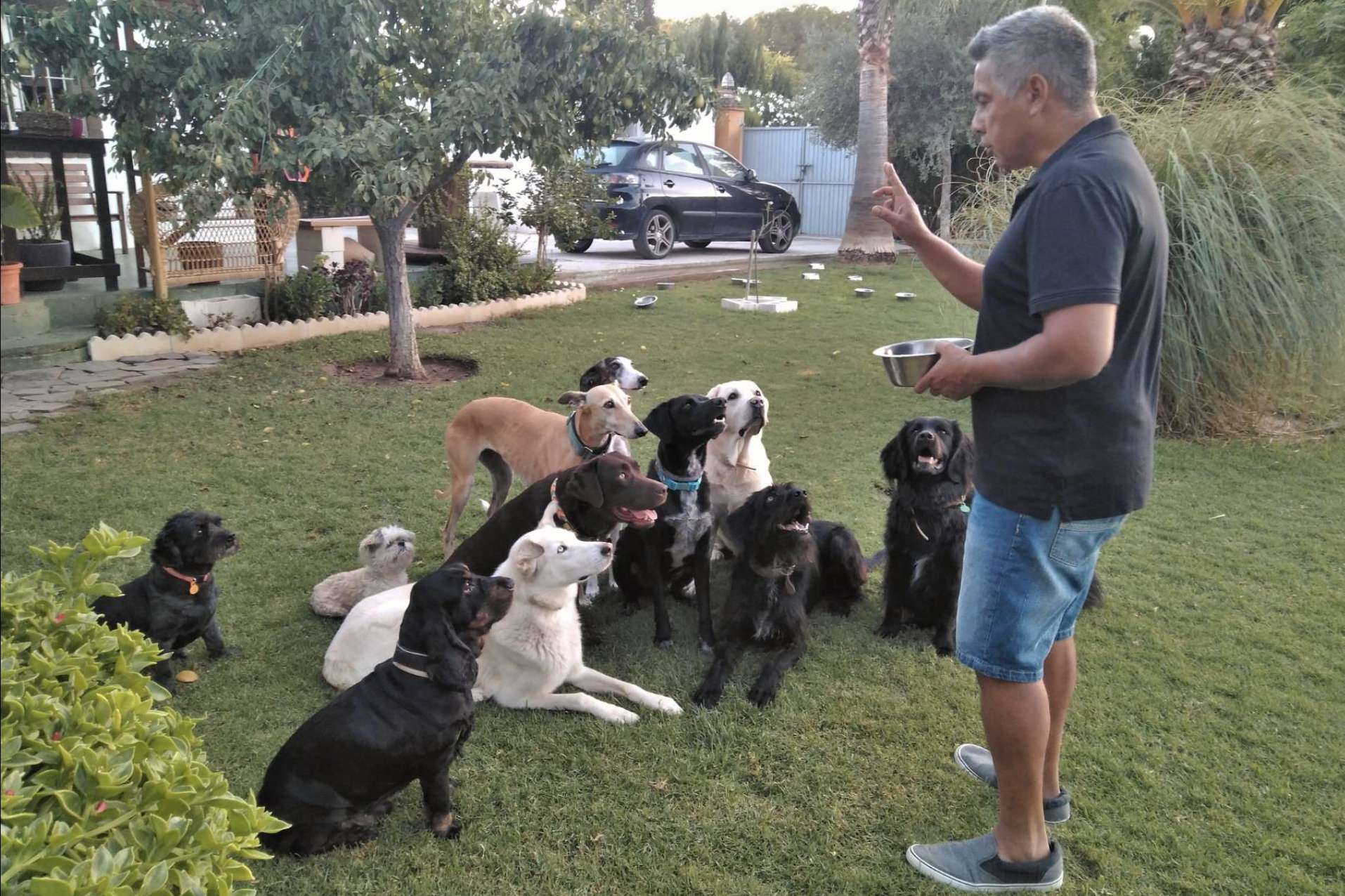 4EverDogs lanza un curso de educación canina basado en el Método Natural Leading