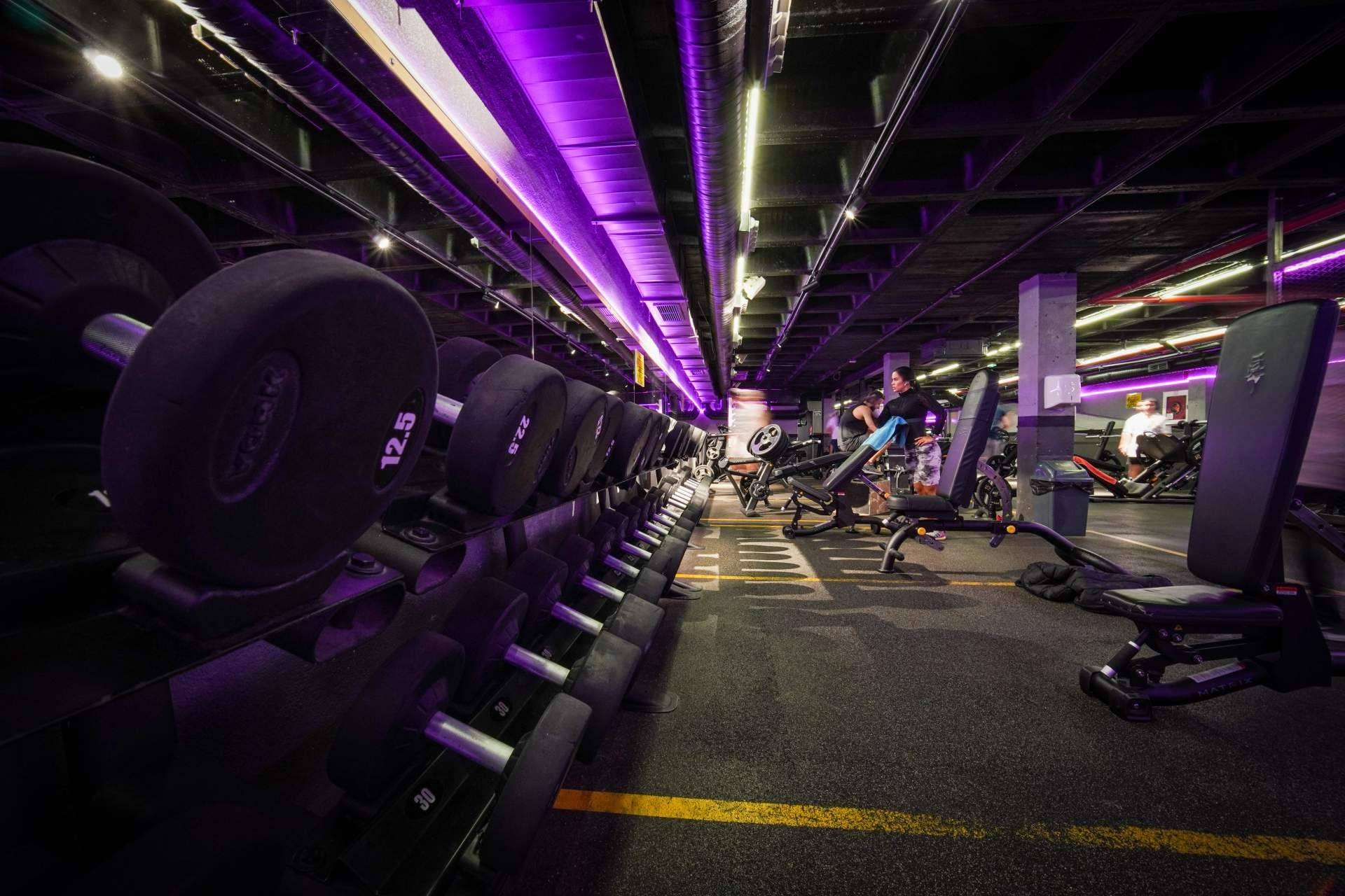Descubrir Krown Fitness; Clases especializadas y entrenadores certificados para el bienestar