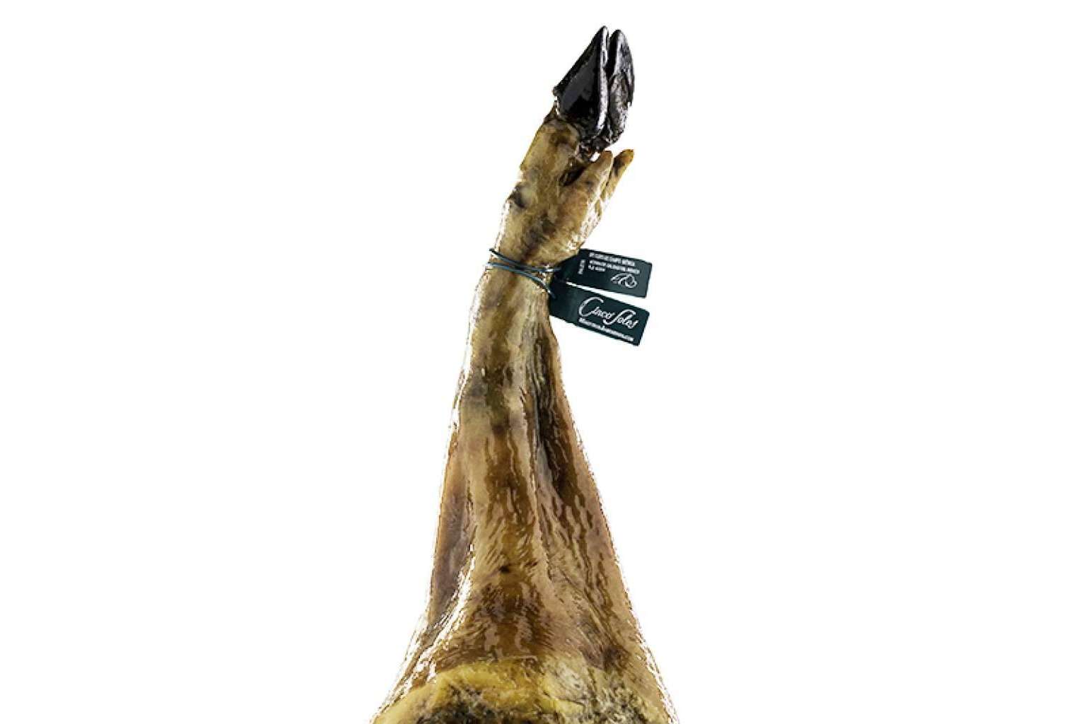 Bienestar animal, la sostenibilidad y la salud