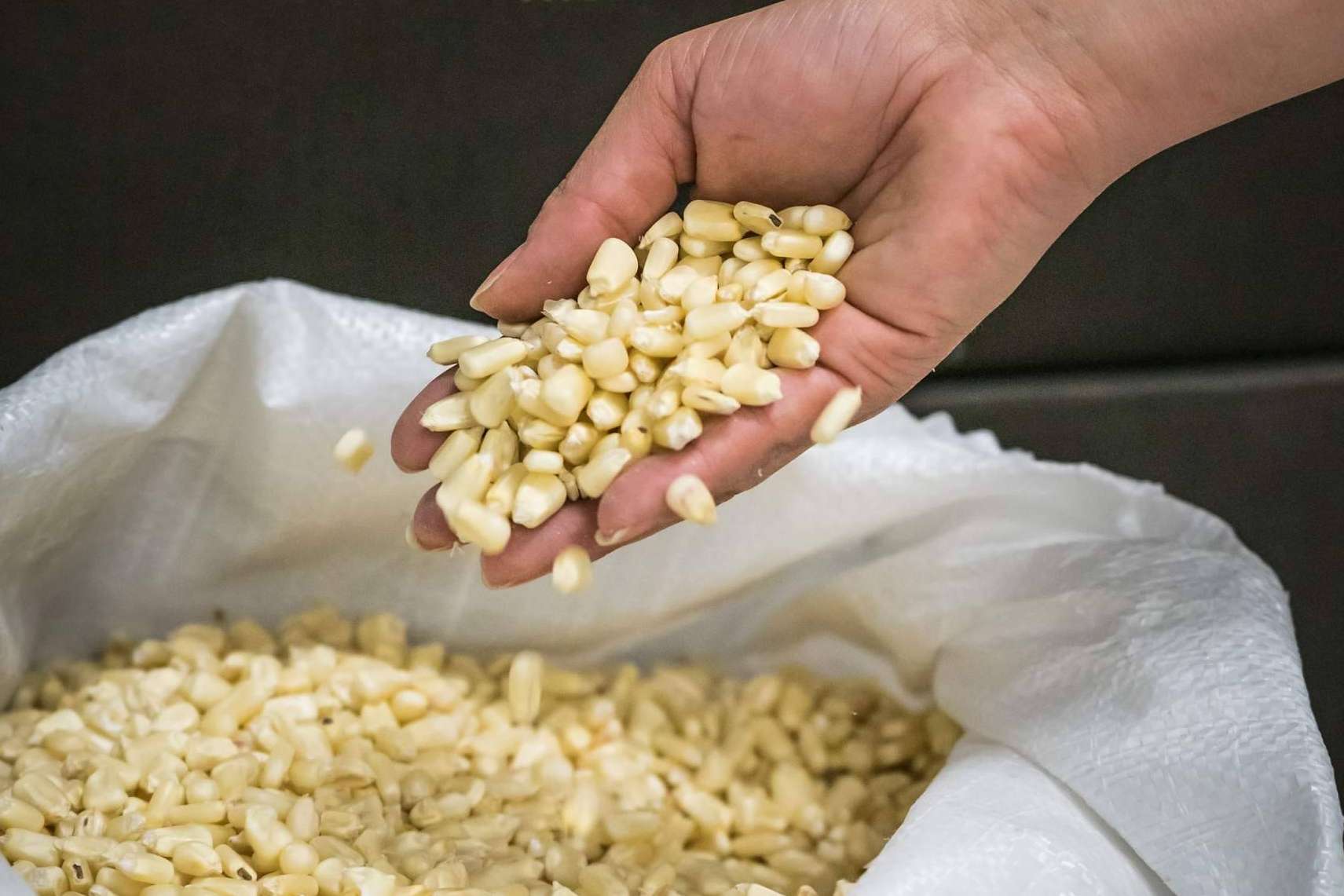 Maíz Maya impulsa la auténtica tradición mexicana en España