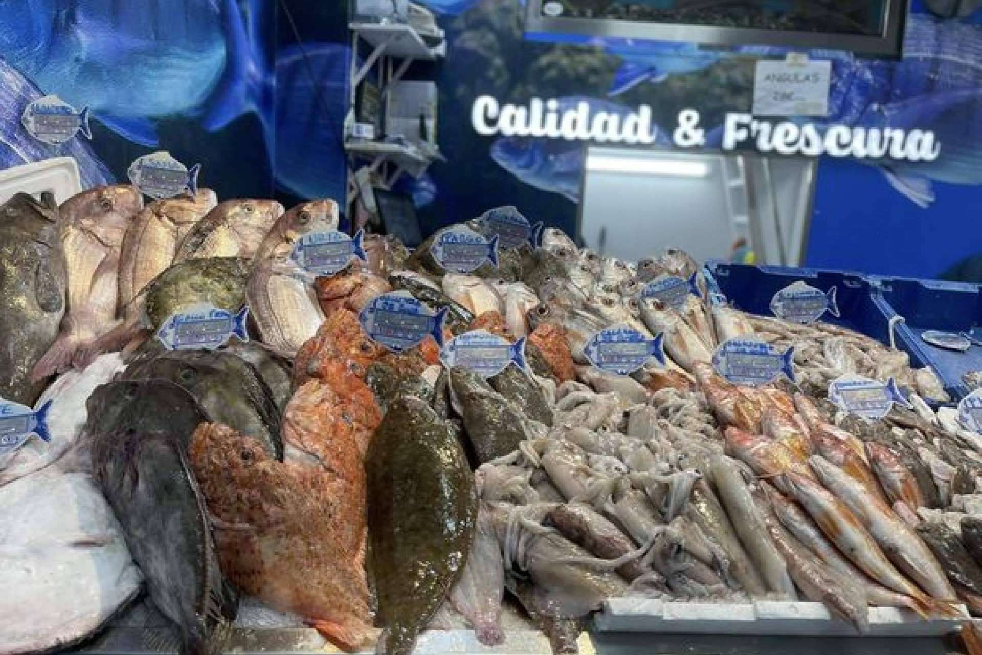 Pescadería Younes Ceuta, excelencia en pescados y mariscos frescos del Mediterráneo