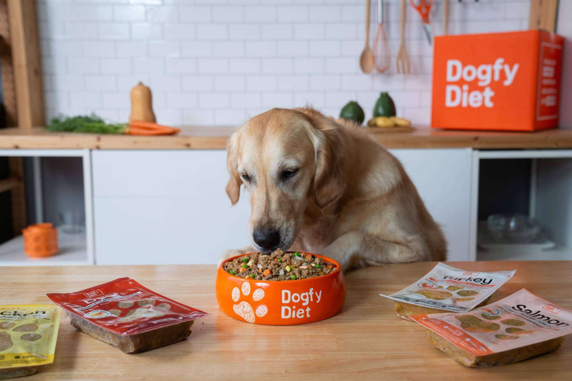 Revolución en la alimentación canina, la dieta natural que está transformando la vida de los perros