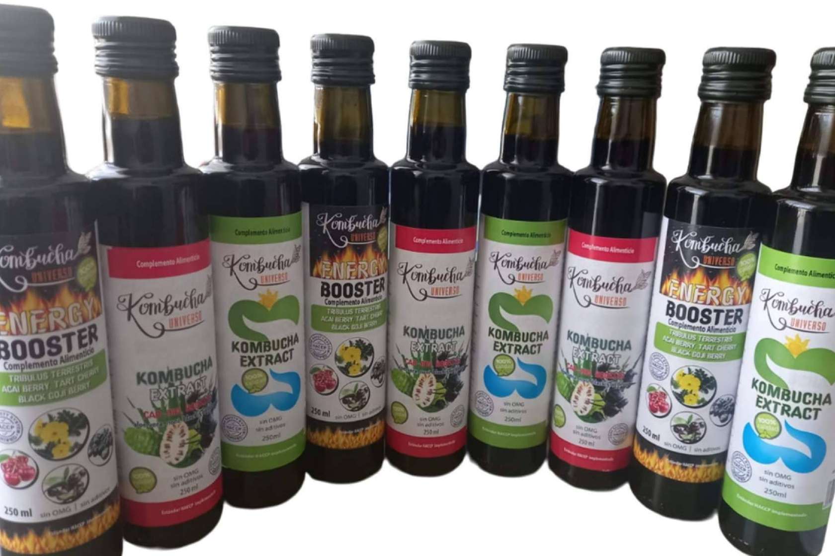 Las recetas artesanales de Kombucha Universo, una revolución en las bebidas saludables