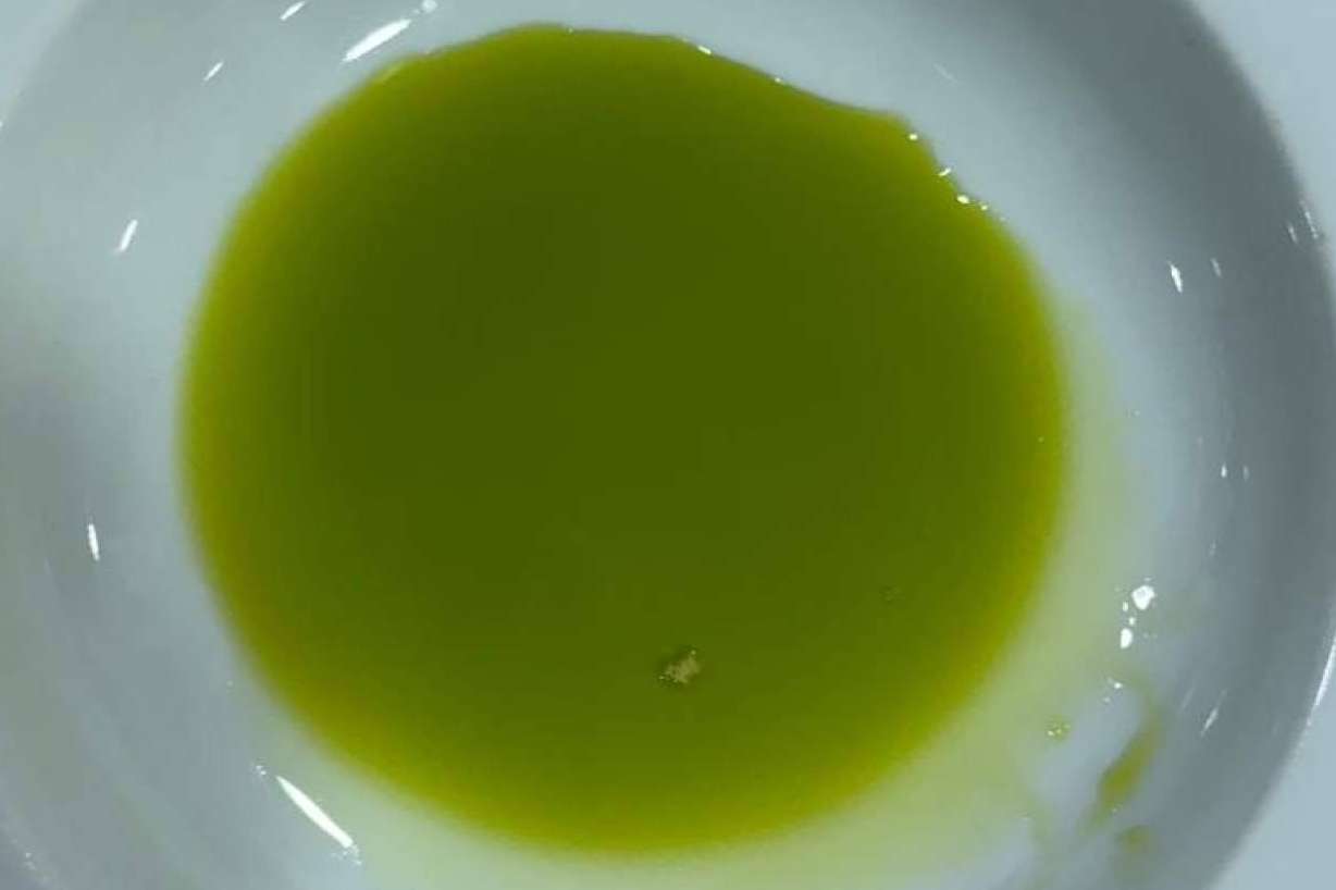 Tradición, excelencia y sabor; así se cultiva el aceite de oliva gourmet de Tercio de las Torres