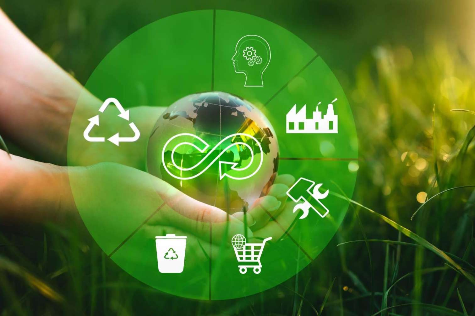 Innovación en eficiencia energética y economía circular para la industria, por Xavier Palacios
