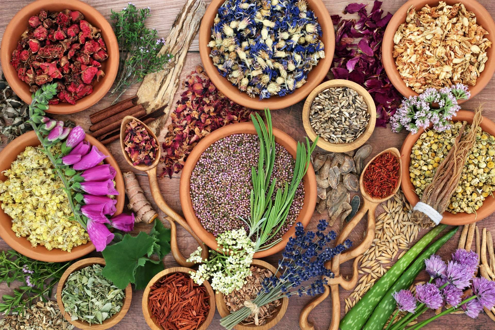 Fortalecimiento Vital ofrece un curso de naturopatía para aprender a aplicar las leyes de la naturaleza