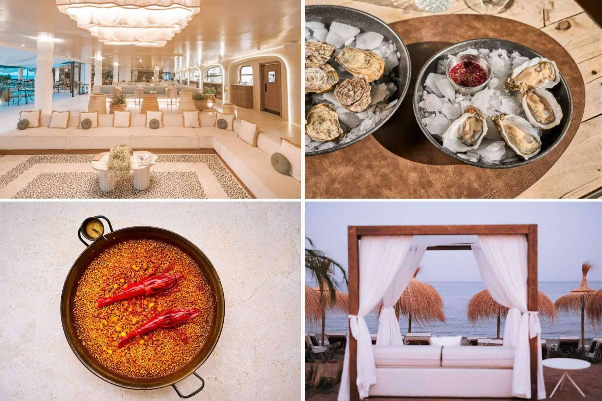 El restaurante Barbillón Marbella, arranca la temporada con una carta vibrante que sabe a mar y a verano