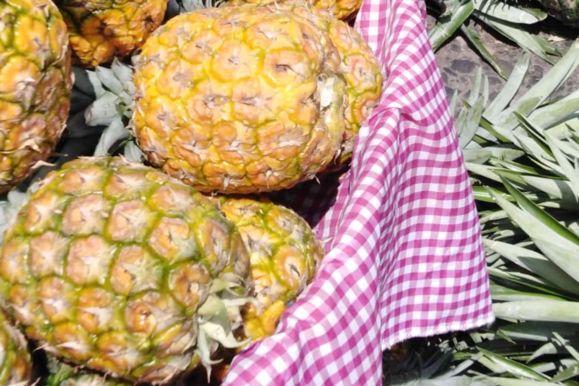 Mercado La Terminal Online facilita la compra de frutas y verduras frescas con entrega a domicilio