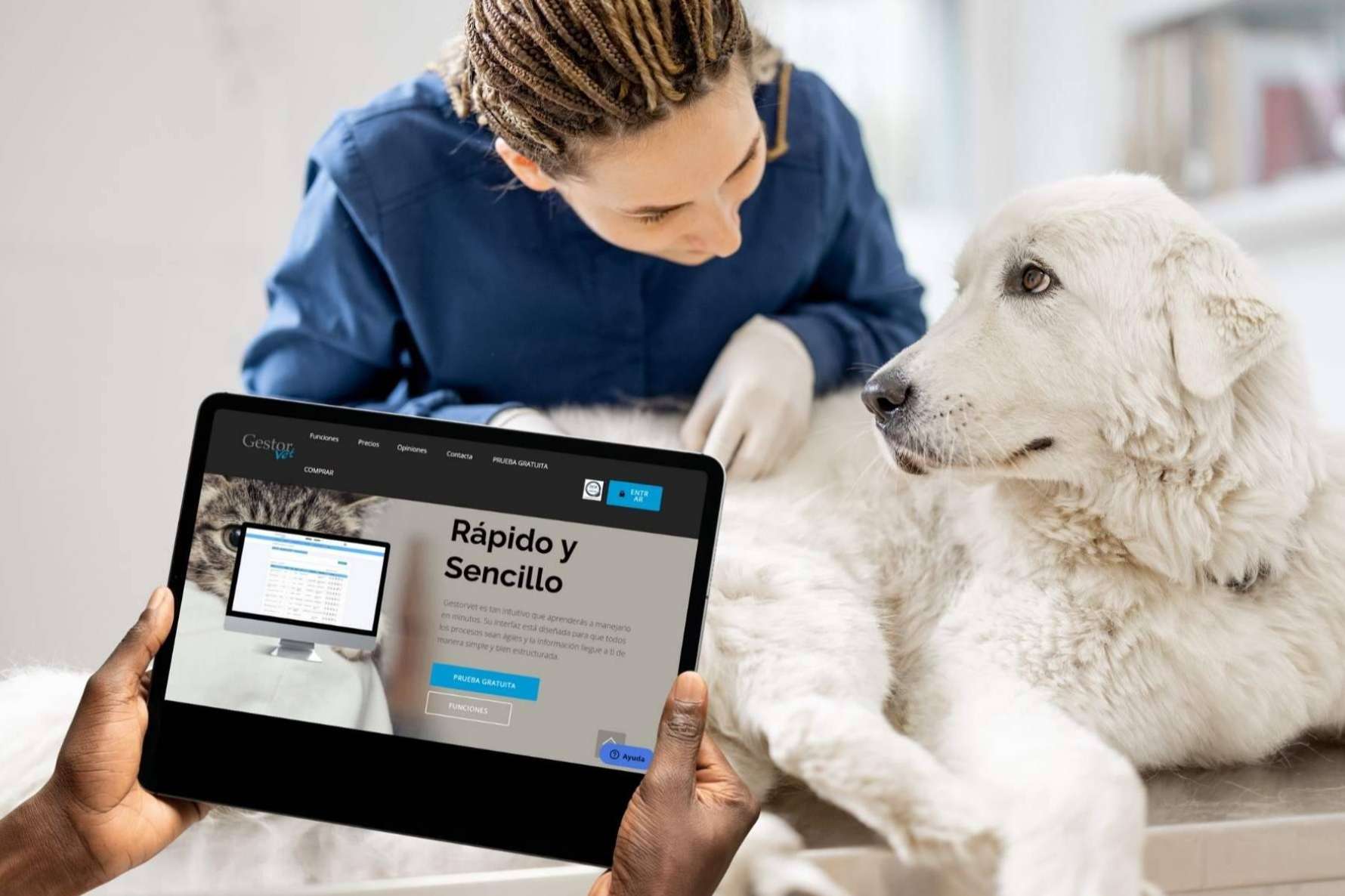 La gestión veterinaria que cumple para el profesional; descubrir GestorVet