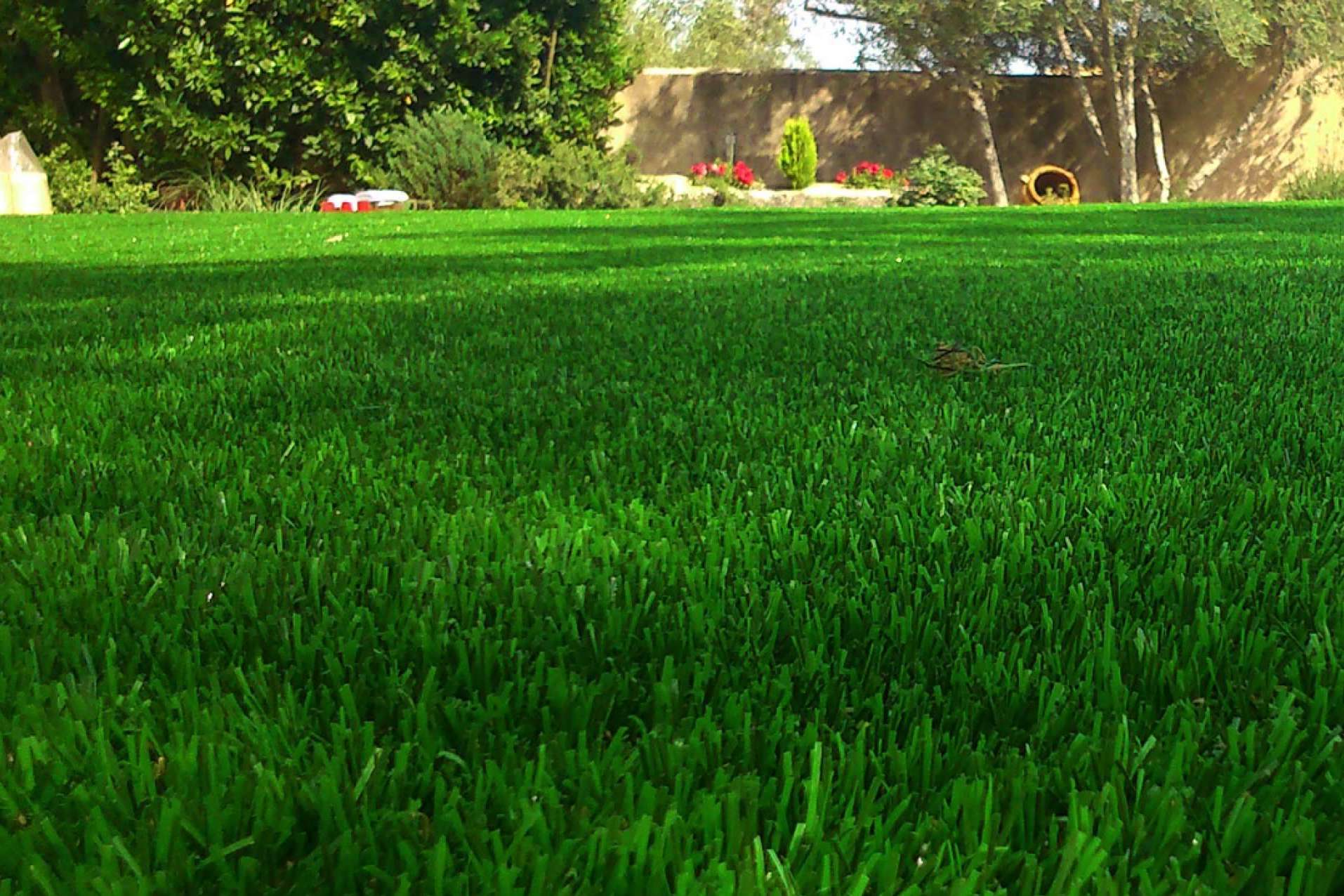 El césped artificial para piscina de Albergrass transforma el jardín en un espacio de descanso sin complicaciones