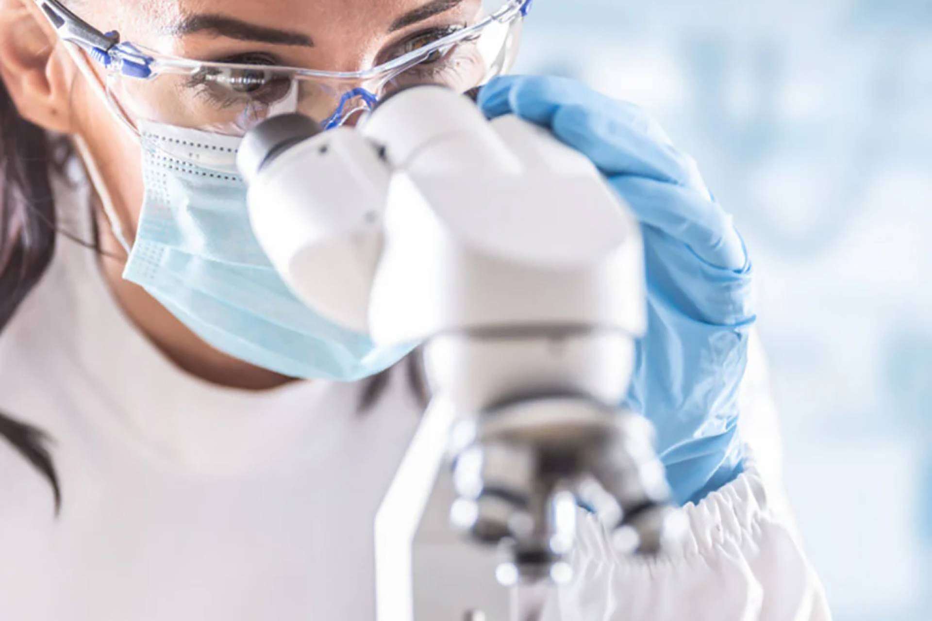 Kalzyme; innovación en el cuidado bucodental para mascotas