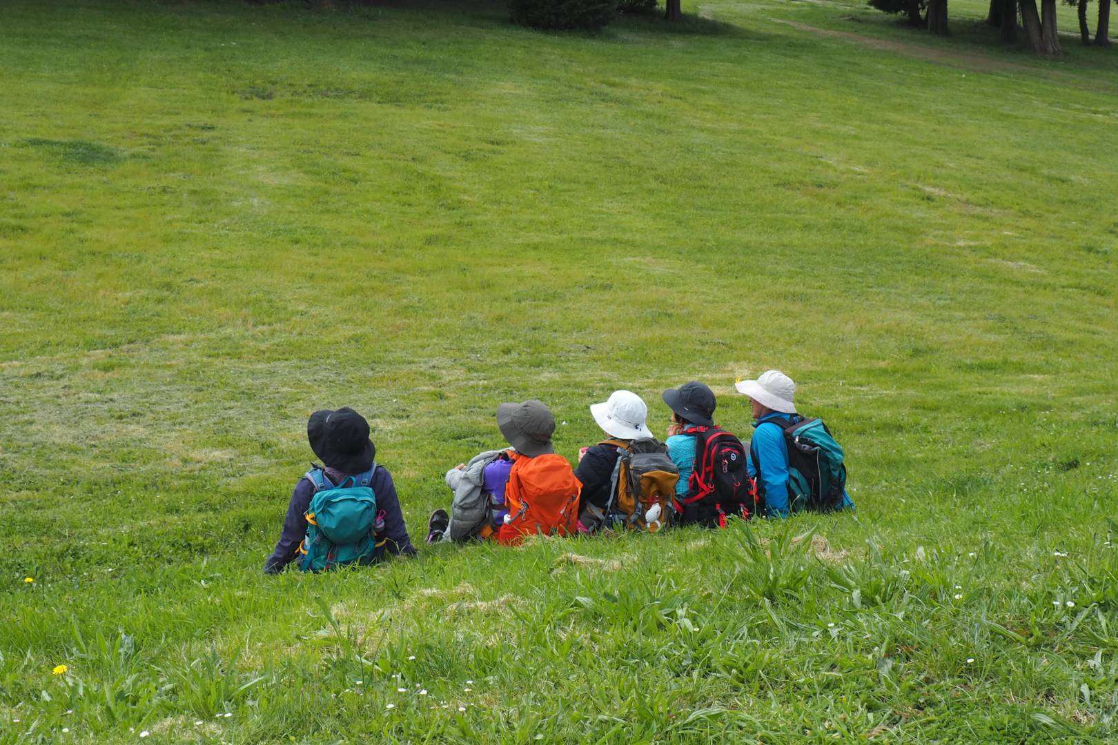 Camino de Santiago en grupo Organizado