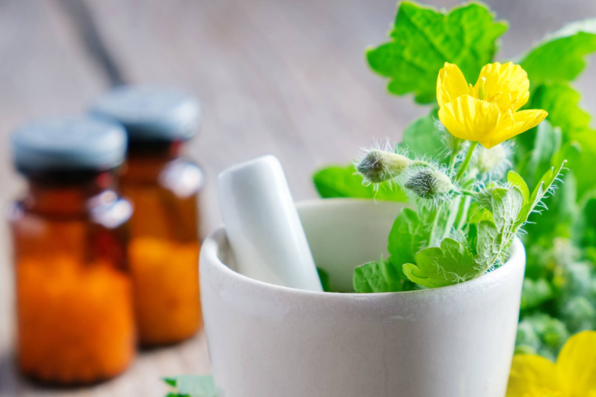 ISED impulsa el aprendizaje de Naturopatía; MTC, Aromaterapia y Flores de Bach con acceso flexible