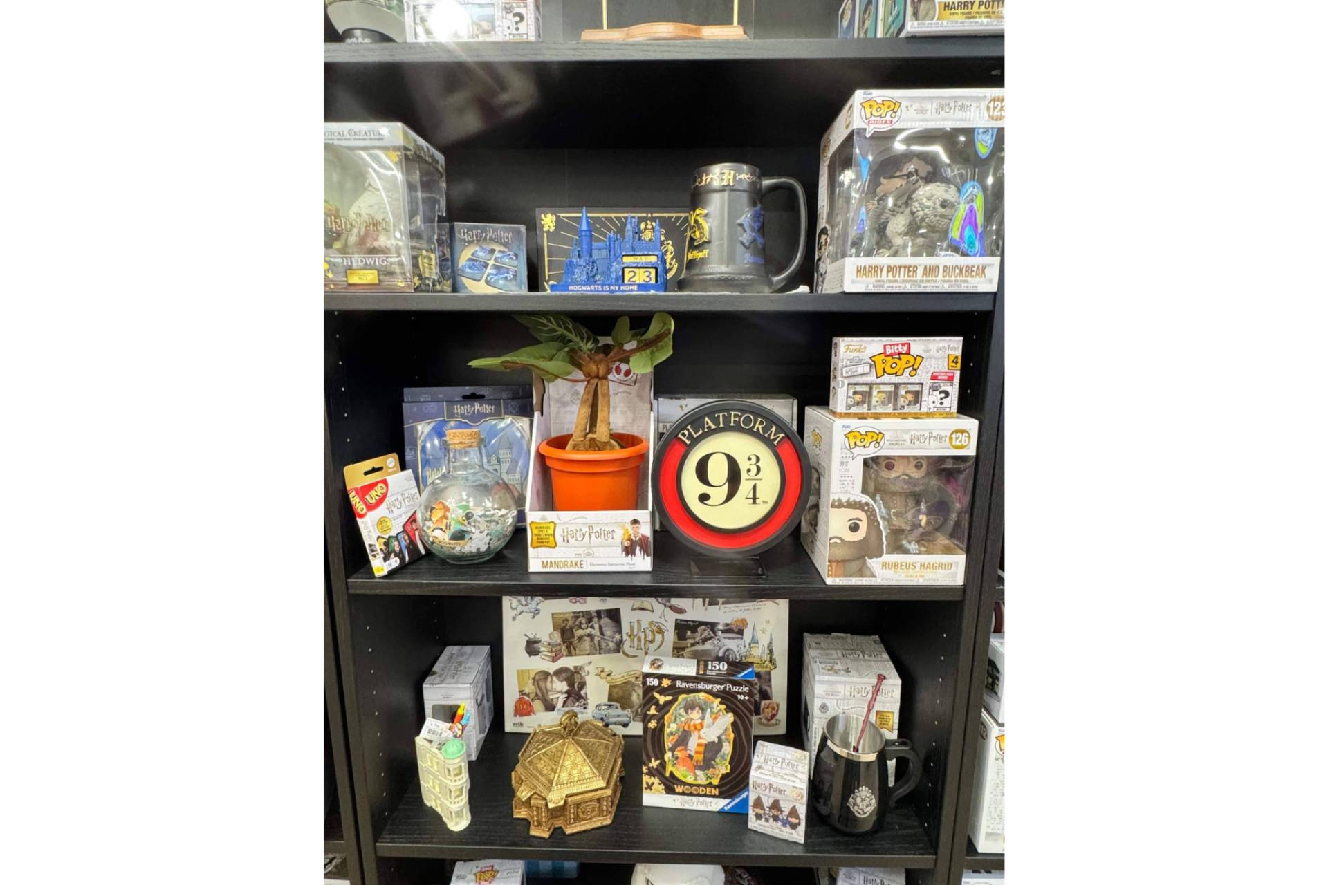 Passarella Store, el punto de encuentro para fans de Harry Potter a minutos de Valencia