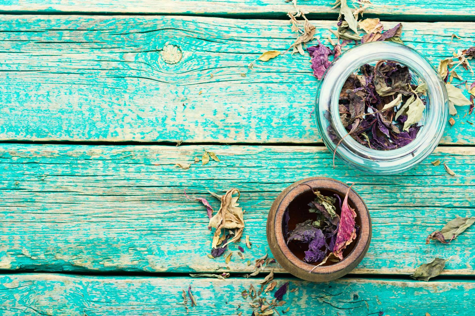 Un nuevo marketplace nacional impulsa la cosmética natural en belleza, higiene y cuidado infantil