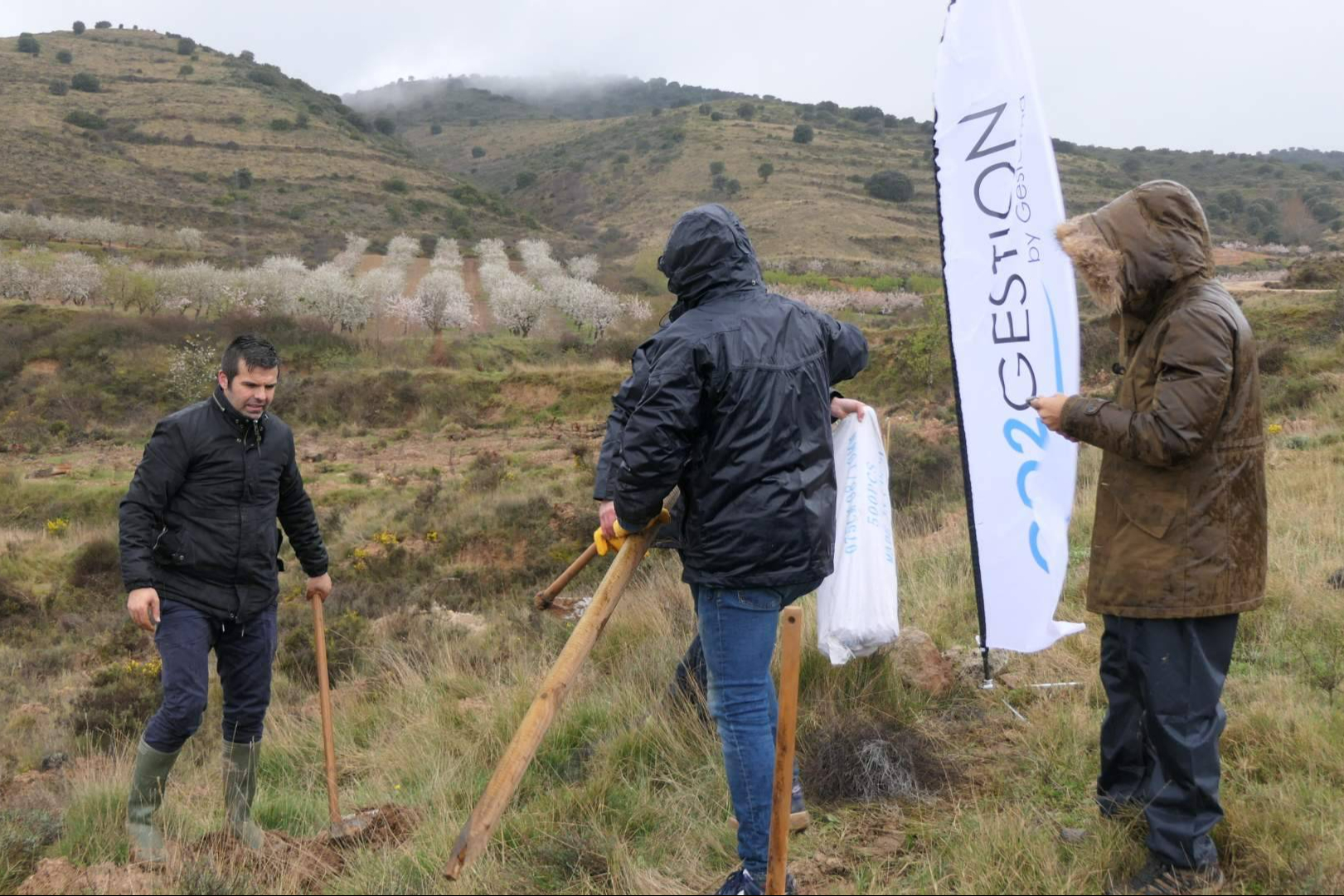 Empresas que reforestan; CO2 Gestión desarrolla proyectos de absorción de carbono mediante bosques corporativos