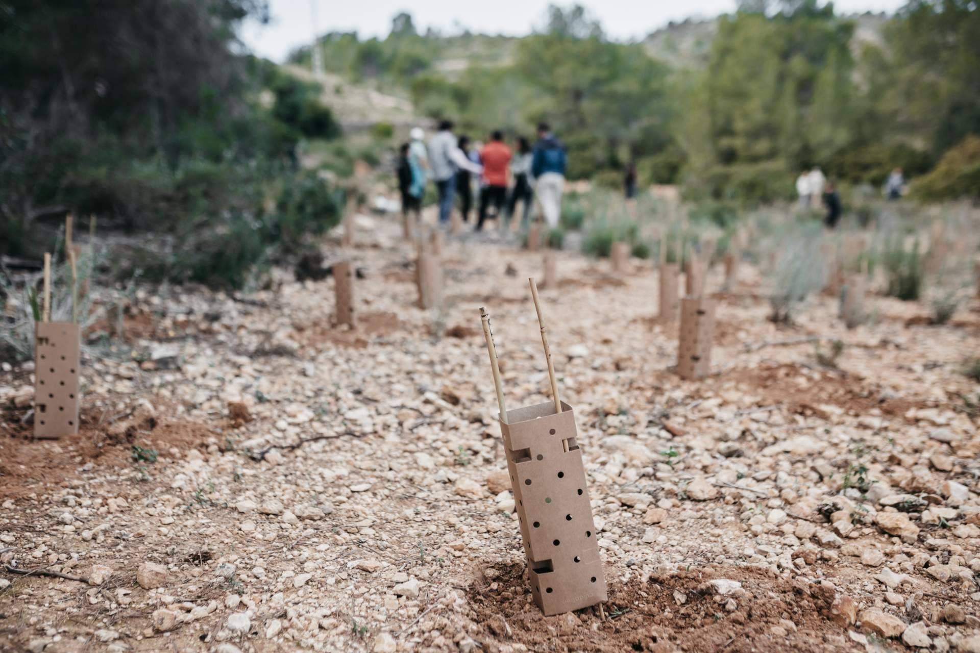 Empresas y ciudadanos se unen para reforestar varios municipios de Madrid por el Día de los Bosques