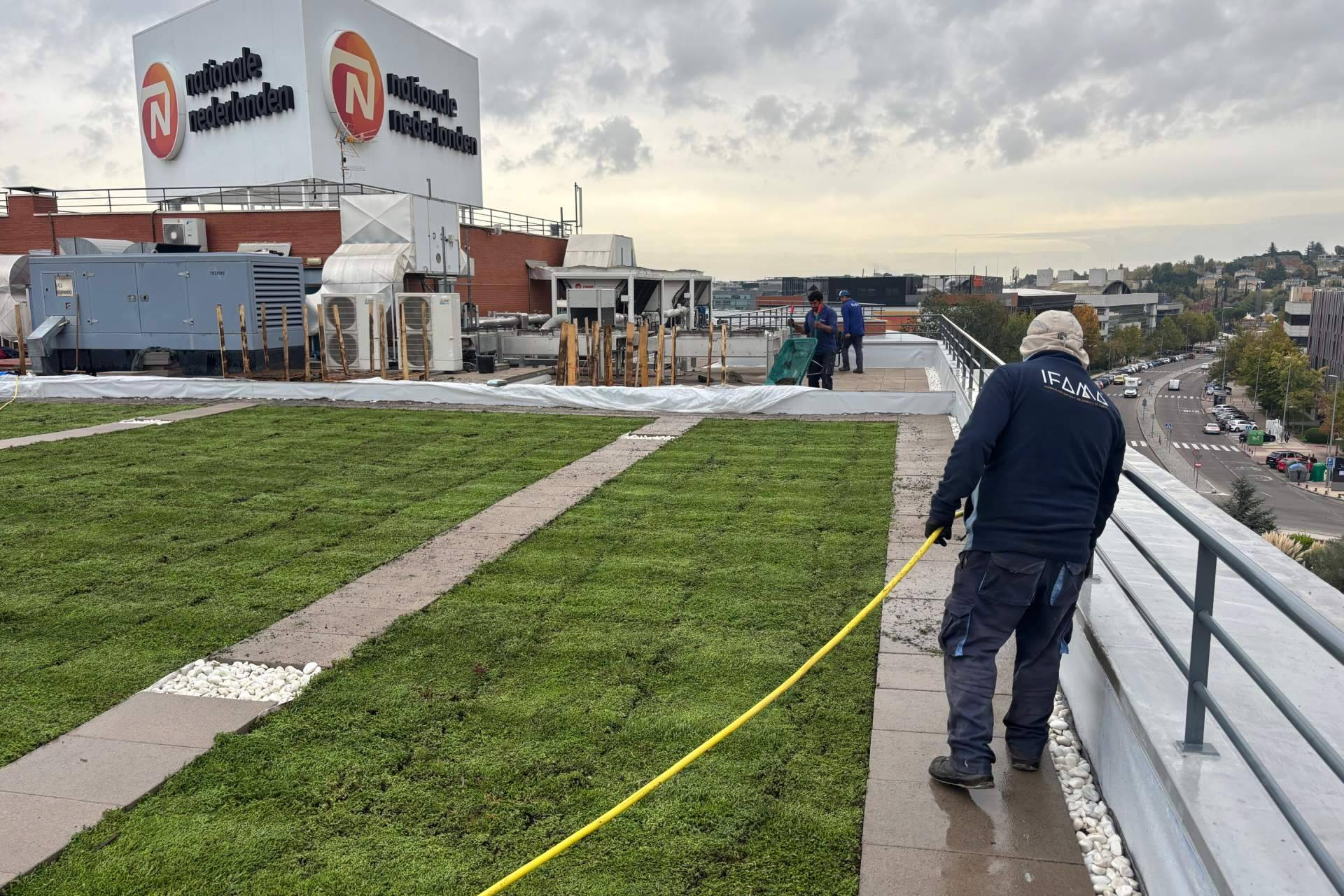 Cubiertas ajardinadas en edificios, una solución que combina eficiencia energética y sostenibilidad
